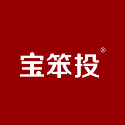 宝笨投