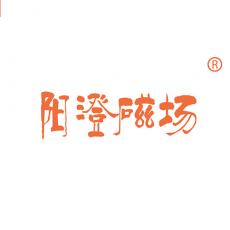 阳澄磁场