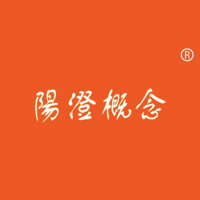 阳澄概念