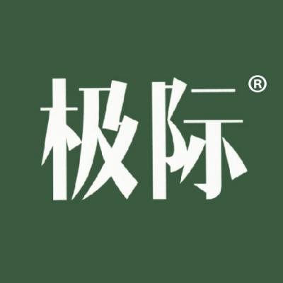 极际