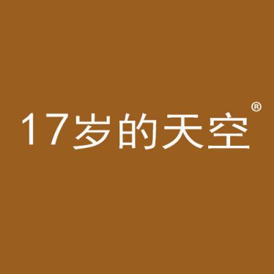 17 岁的天空