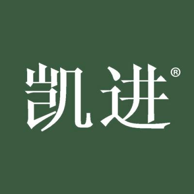 凯进