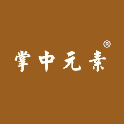 掌中元素