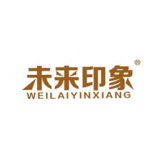 未来印象