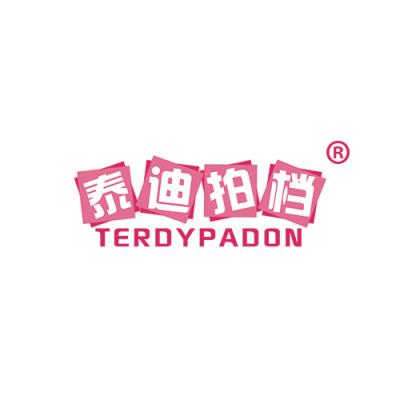 泰迪拍档