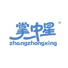 掌中星