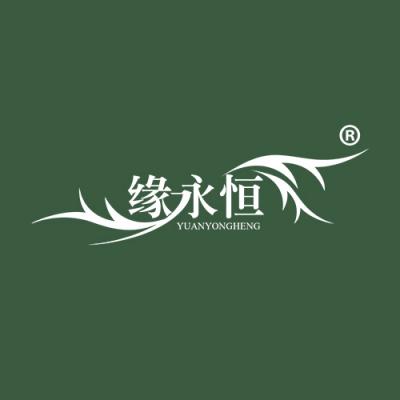 缘永恒