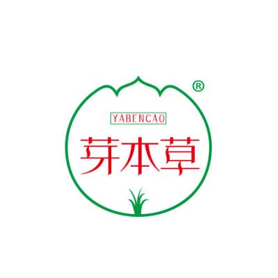芽本草